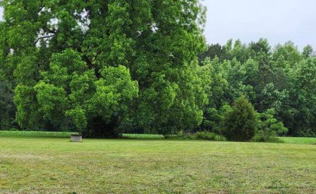4449 Butler Drive, Suffolk, VA 23437