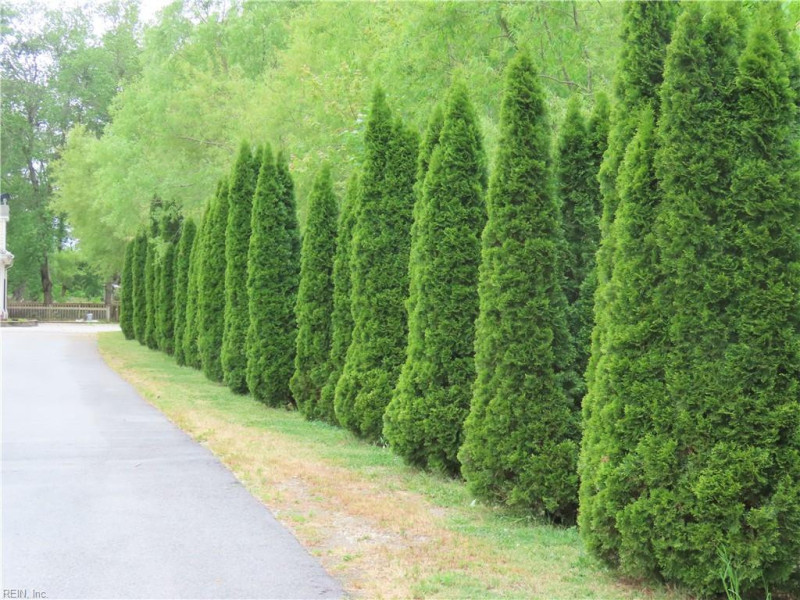 Photo 4 of 46 residential for sale in Chesapeake virginia