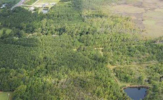 4161 Caratoke Highway, Currituck County, NC 27917