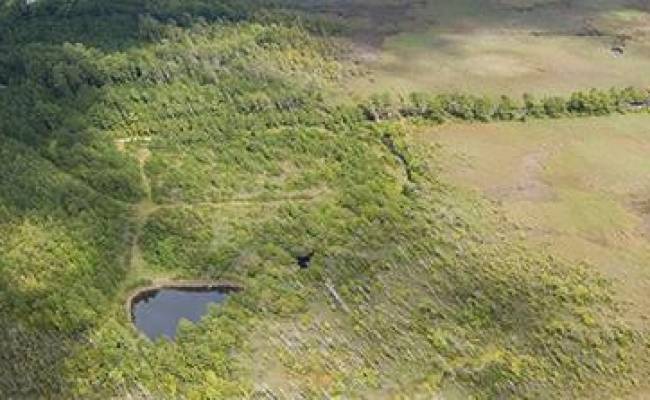 4161 Caratoke Highway, Currituck County, NC 27917