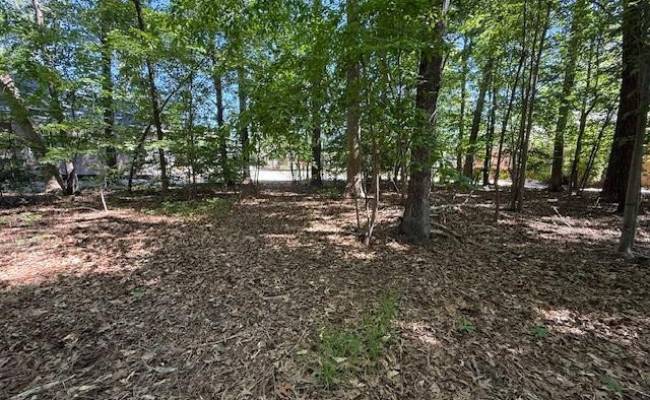 220 Ashford Manor, James City County, VA 23188