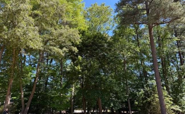 220 Ashford Manor, James City County, VA 23188