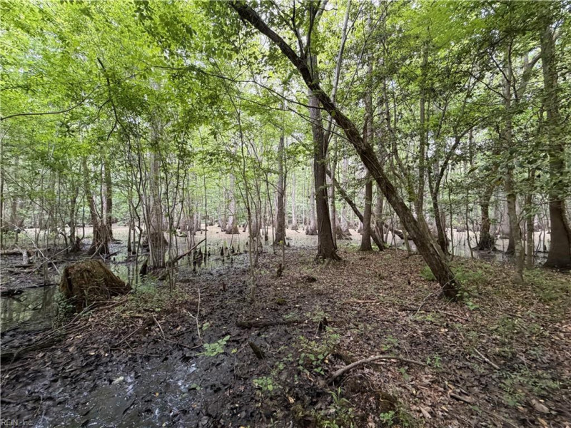 Photo 19 of 22 residential for sale in Suffolk virginia Photo 19 of 22 residential for sale in Suffolk virginia