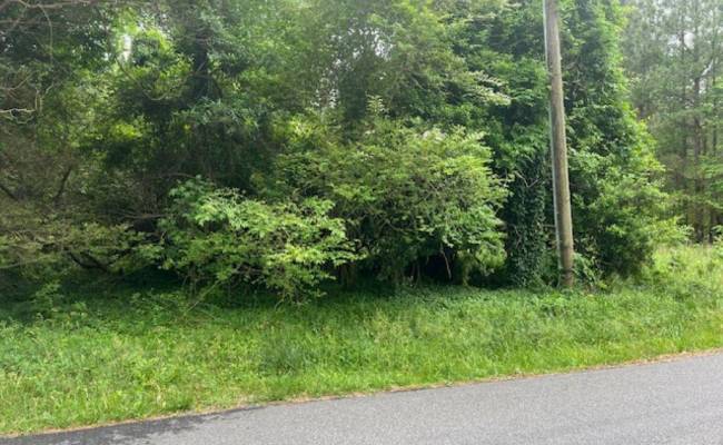 1 acre Mansion Avenue, Surry County, VA 23899