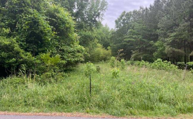 1 acre Mansion Avenue, Surry County, VA 23899