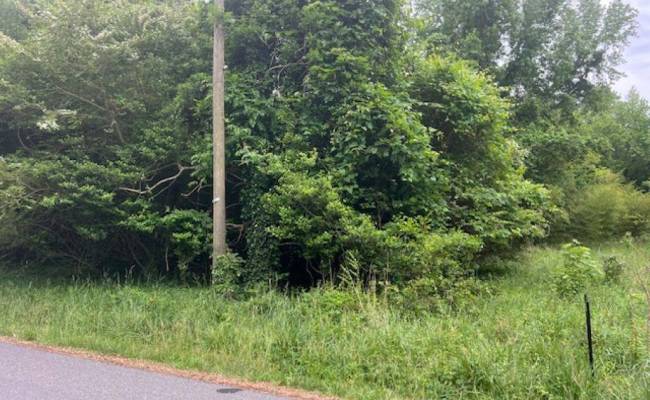 1 acre Mansion Avenue, Surry County, VA 23899