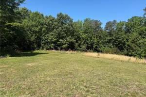 3.1+AC Near Cooks Mill Road, New Kent County, VA 23089