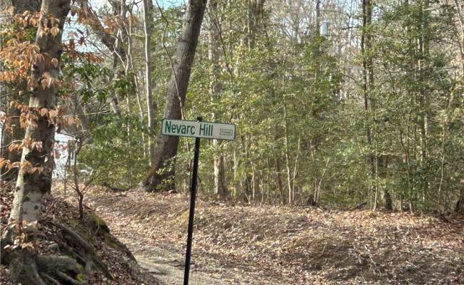 3.1+AC Near Cooks Mill Road, New Kent County, VA 23089