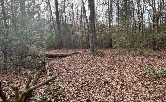 3.1+AC Near Cooks Mill Road, New Kent County, VA 23089