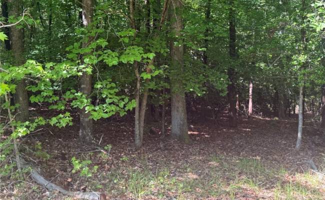 3.1+AC Near Cooks Mill Road, New Kent County, VA 23089