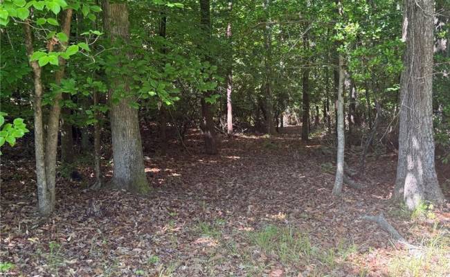 3.1+AC Near Cooks Mill Road, New Kent County, VA 23089