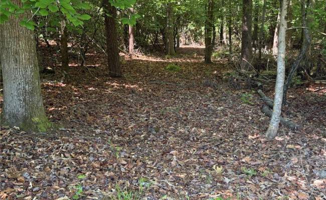3.1+AC Near Cooks Mill Road, New Kent County, VA 23089