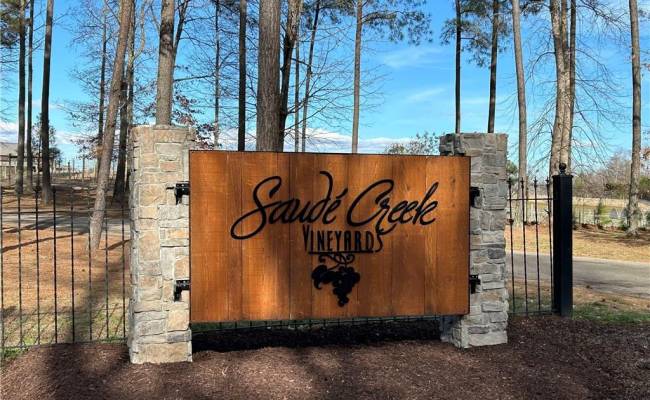 3.1+AC Near Cooks Mill Road, New Kent County, VA 23089
