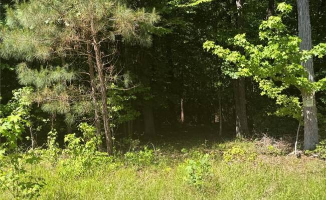 3.1+AC Near Cooks Mill Road, New Kent County, VA 23089