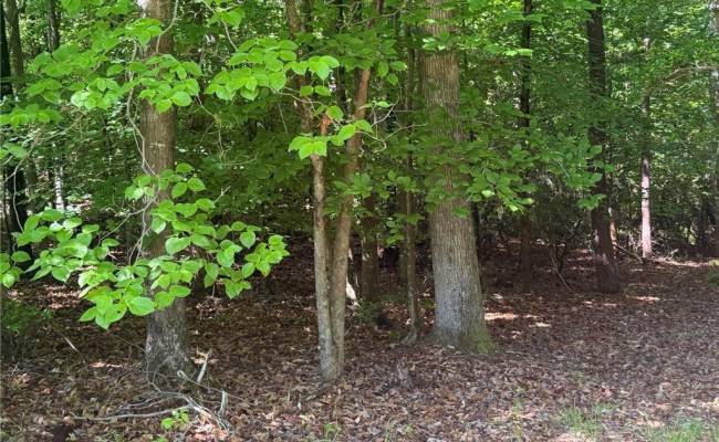 3.1+AC Near Cooks Mill Road, New Kent County, VA 23089