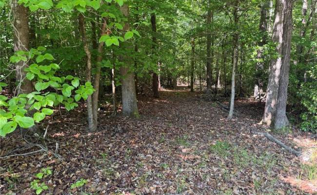 3.1+AC Near Cooks Mill Road, New Kent County, VA 23089