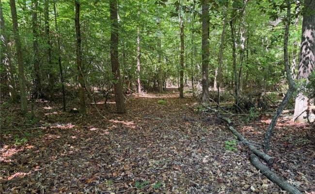 3.1+AC Near Cooks Mill Road, New Kent County, VA 23089