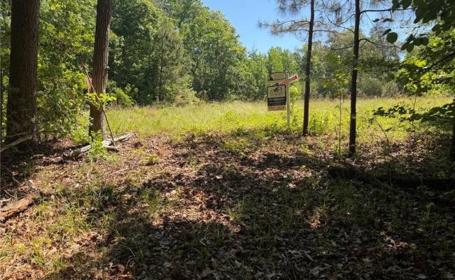 3.1+AC Near Cooks Mill Road, New Kent County, VA 23089