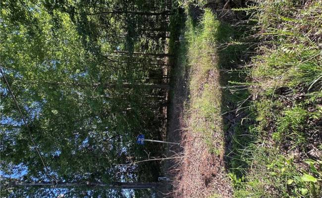 .26AC Cypress Trail, Gloucester County, VA 23061