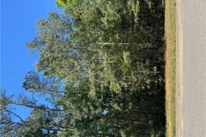 5269 Linkshire Lane, New Kent County, VA 23140