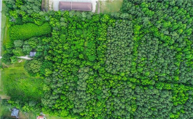 25+AC Military Highway, Chesapeake, VA 23321