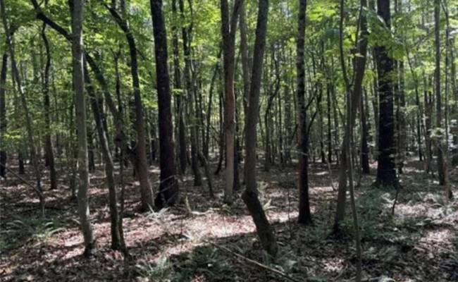 44 AC Blue Jay Street, Danville City, VA 24541