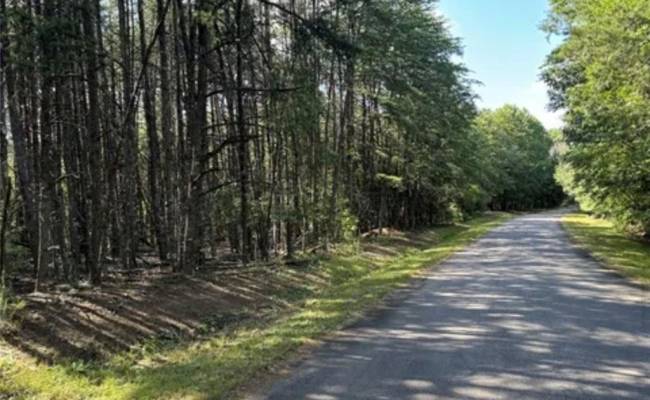 44 AC Blue Jay Street, Danville City, VA 24541