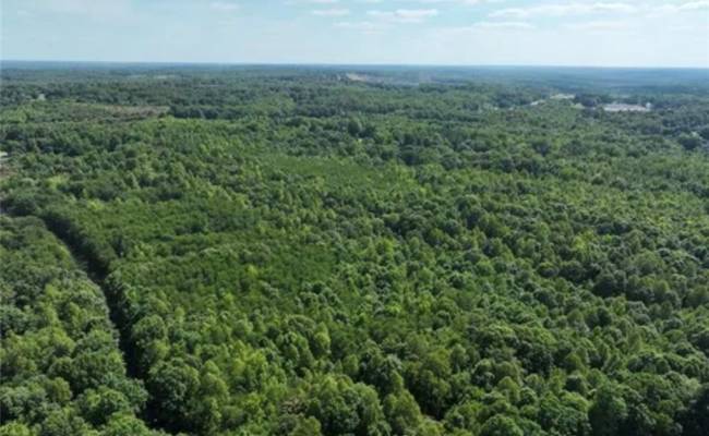 44 AC Blue Jay Street, Danville City, VA 24541