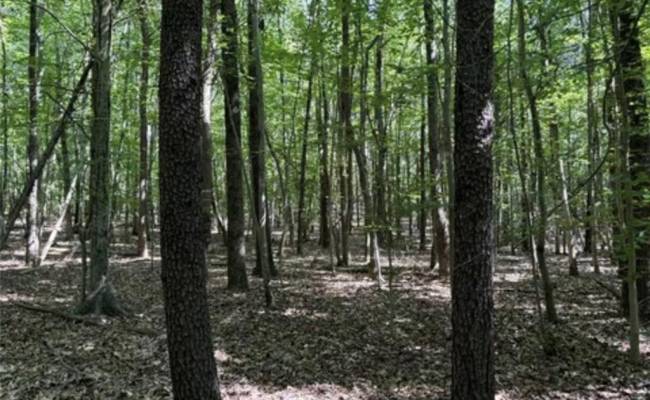 44 AC Blue Jay Street, Danville City, VA 24541