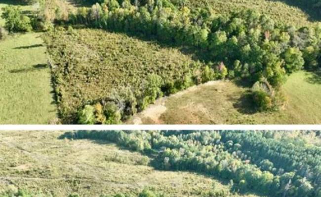 59.44 Inman Road, Pittsylvania County, VA 24541