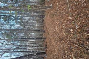 183 Crafford , Newport News, VA 23603