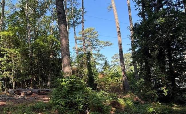 108 Cheyenne Trail, Chowan County, NC 27932 photo 2
