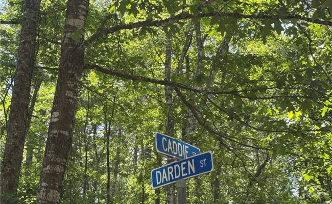 38 BLK Darden Street, Chesapeake, VA 23322 photo 3