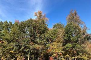 176 Nottinghamshire , James City County, VA 23188