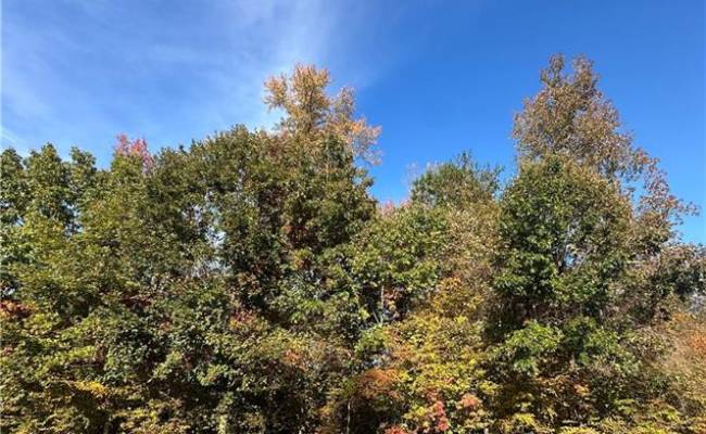 176 Nottinghamshire , James City County, VA 23188