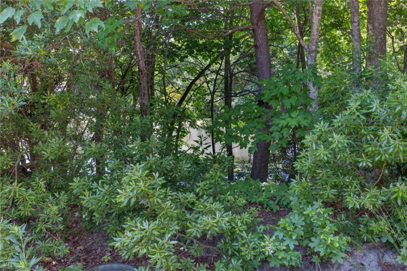 Photo 4 of 45 residential for sale in Chesapeake virginia