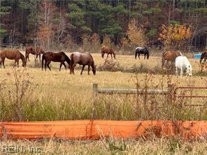Photo 40 of 43 residential for sale in Chesapeake virginia