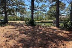 1 Mallard Way, Accomack County, VA 23417