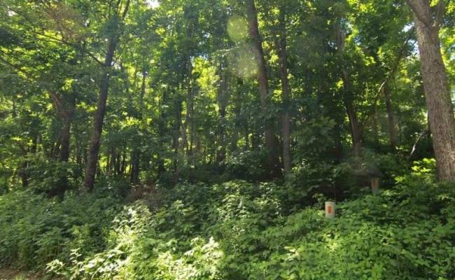 270 Timber Camp Drive, Nelson County, VA 22967
