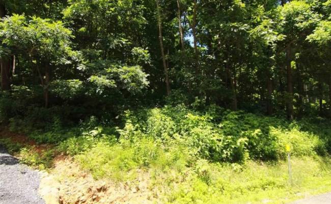 270 Timber Camp Drive, Nelson County, VA 22967 photo 2