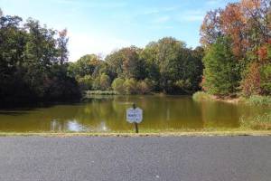 1445 Morgarts Beach Road, Isle of Wight County, VA 23430