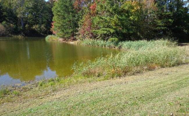 1445 Morgarts Beach Road, Isle of Wight County, VA 23430 photo 2