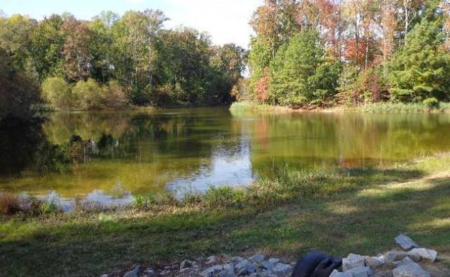 1445 Morgarts Beach Road, Isle of Wight County, VA 23430 photo 3