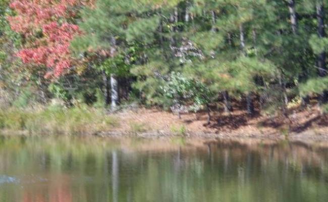 1445 Morgarts Beach Road, Isle of Wight County, VA 23430 photo 7