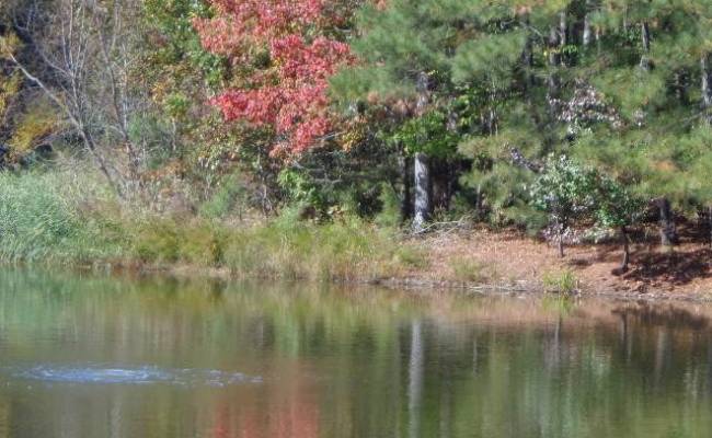 1445 Morgarts Beach Road, Isle of Wight County, VA 23430 photo 8