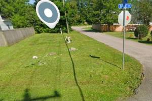 29 Gale Avenue, Chesapeake, VA 23323