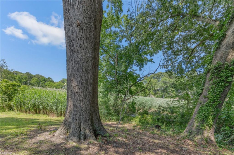 Photo 18 of 29 residential for sale in Chesapeake virginia Photo 18 of 29 residential for sale in Chesapeake virginia