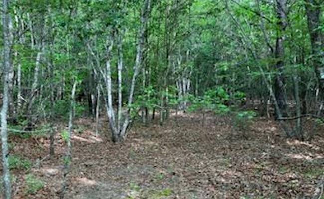 .55acs Nottoway Drive, Southampton County, VA 23837