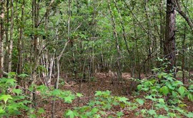 .55acs Nottoway Drive, Southampton County, VA 23837