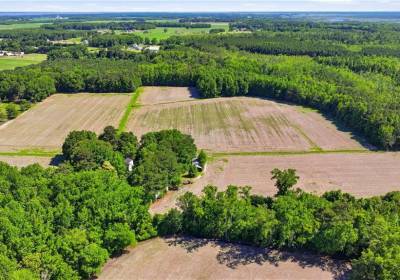 1229 Princess Anne Road, Virginia Beach, VA 23457